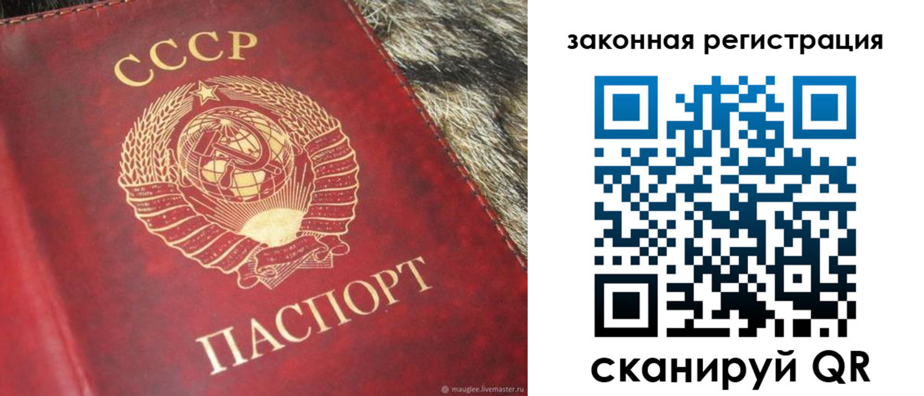 прописка от собственника в Будённовске